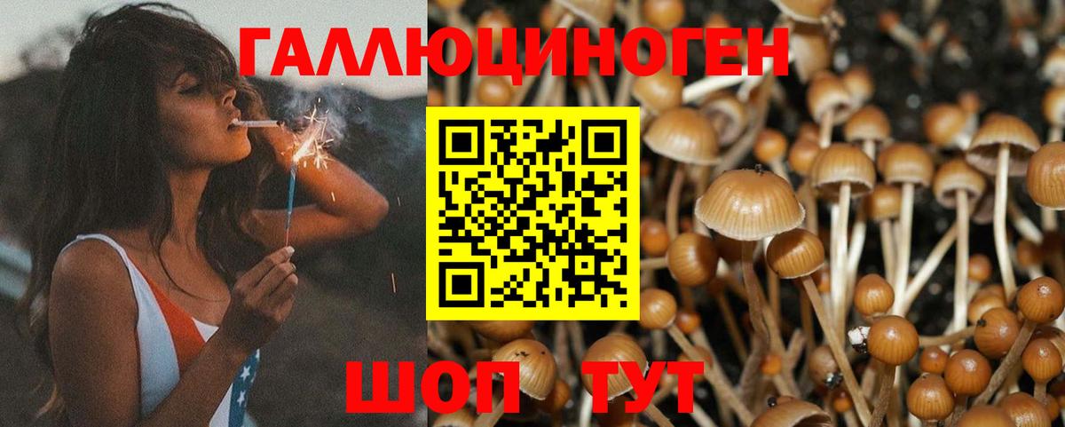Галлюциногенные грибы Cubensis  Псилоцибиновые грибы мухоморы  Вход с VPN  закладки  Лесной 